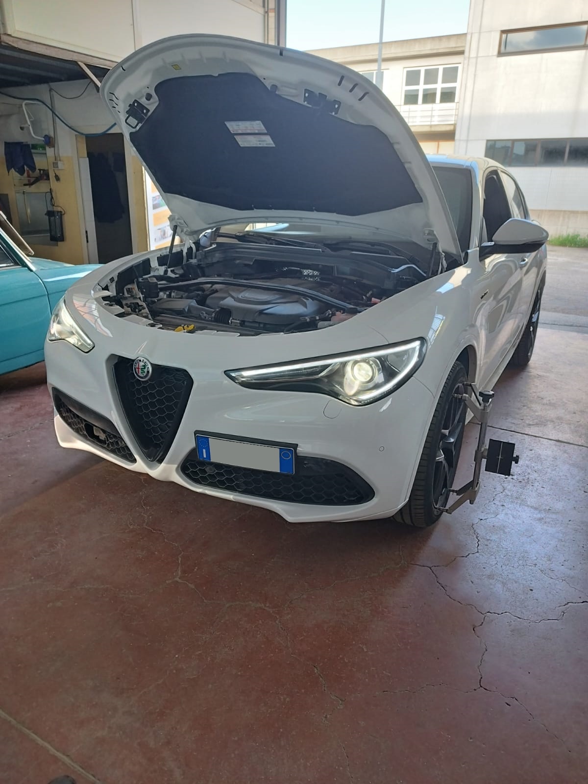 giulia6
